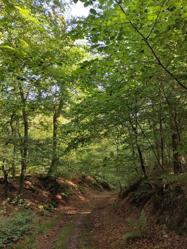 bewegtere Landschaft im Wendland