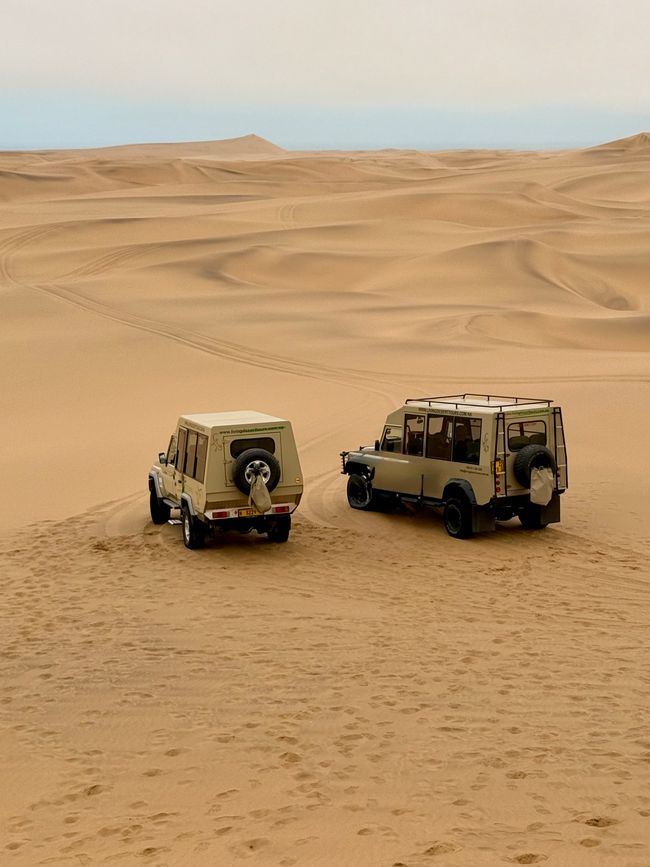 Namibia 2k25 🦓🏜️🐘