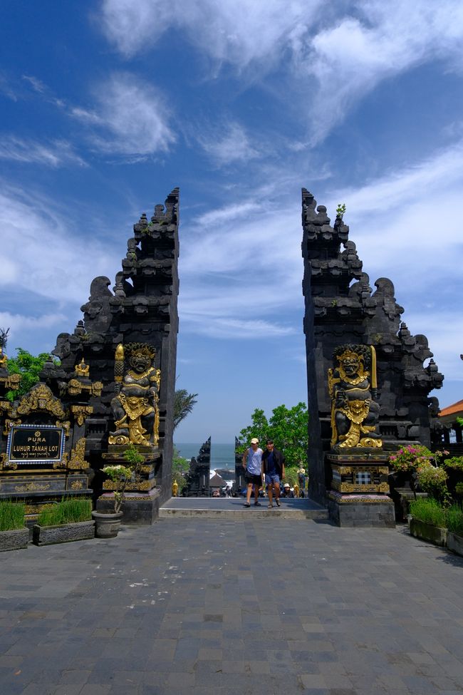 Bali - Canggu 🏄‍♀️
