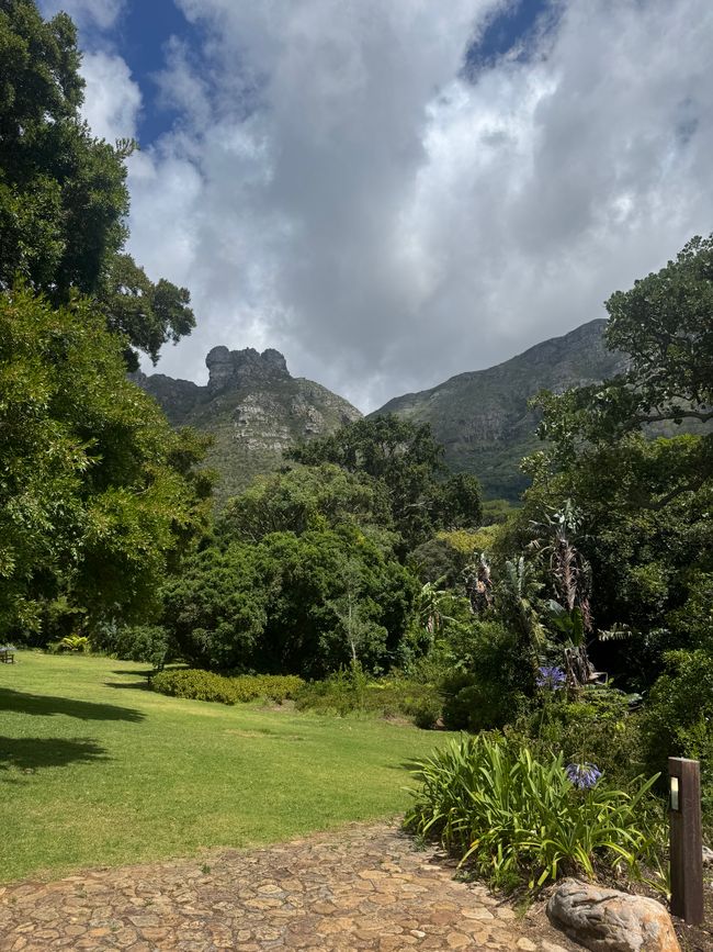 Jahreswechsel in Capetown