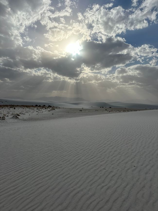 Arizona/ New Mexico/ Petrified Forest/ White Sands