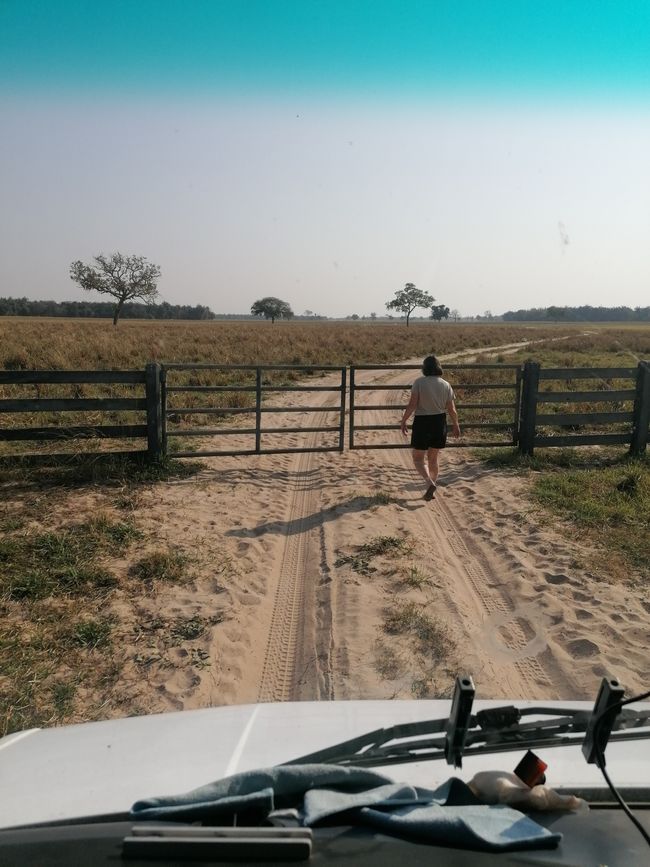 Brazil, Through the Pantanal