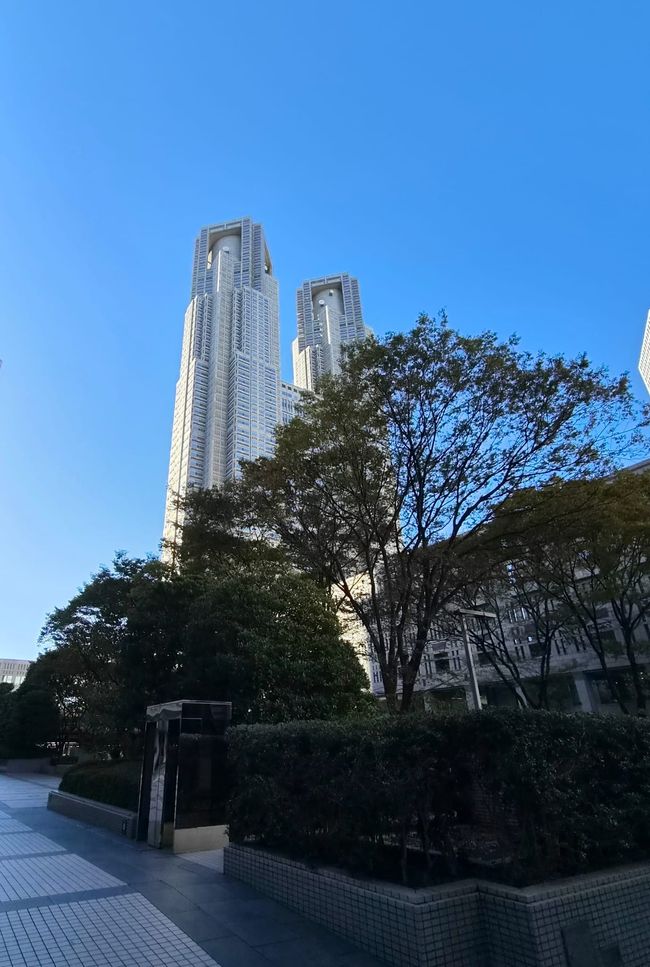 东京政府大楼 - 南塔