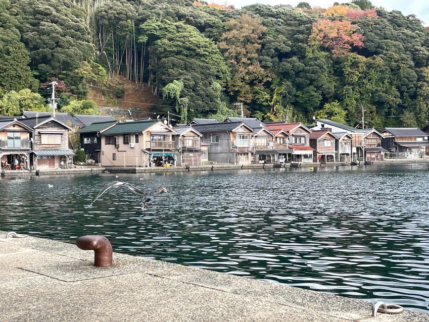 25.Capítulo: Un hermoso pueblo pesquero deshabitado y sentados en una maceta en Amanohashidate