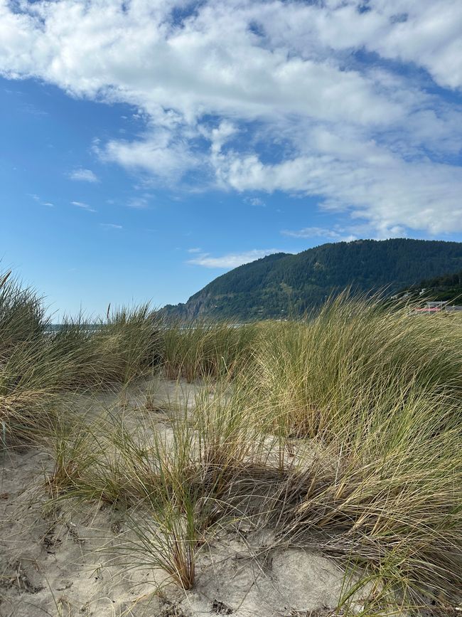 Oregon Parcific Beach