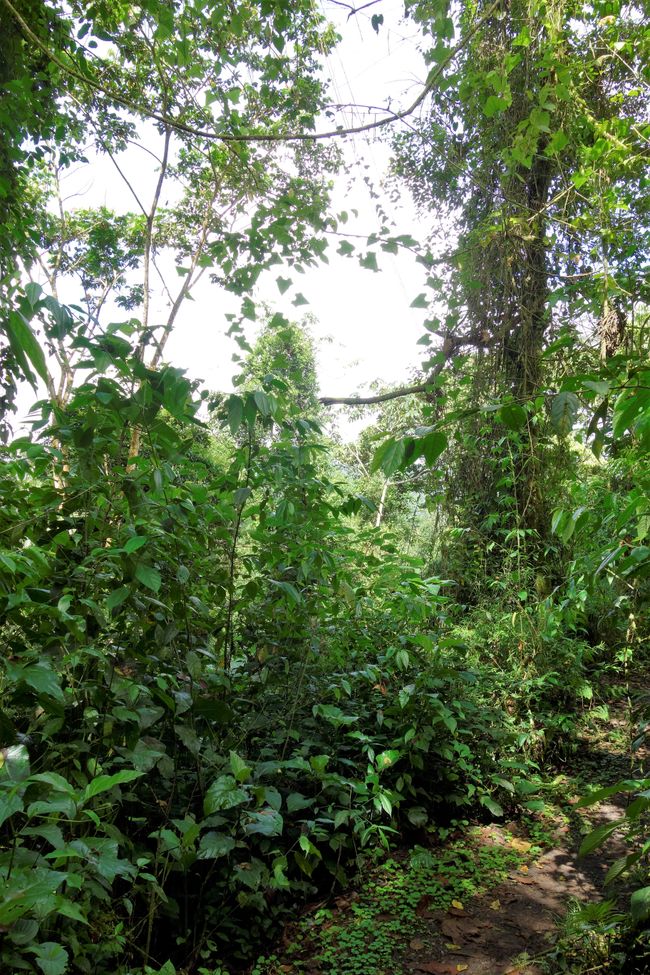 Die Entdeckung der Langsamkeit