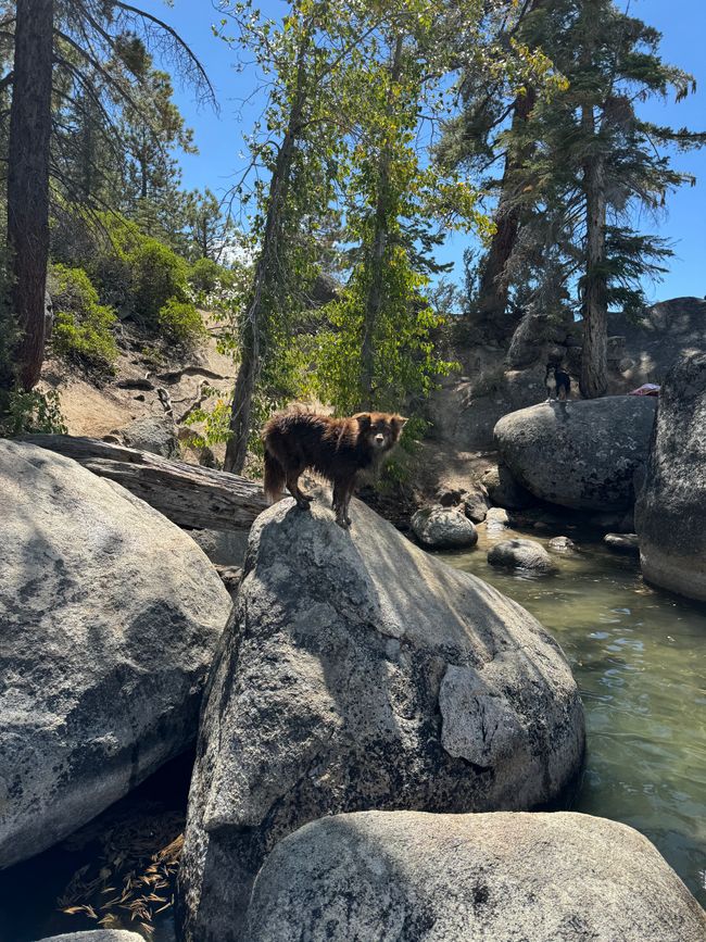 Day 9 - Lake Tahoe