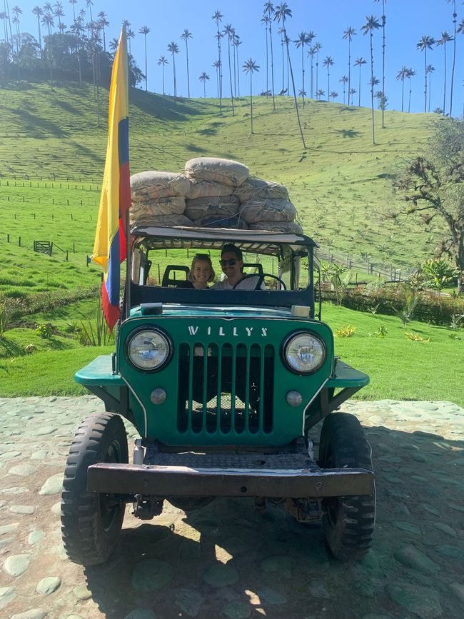 Día 4: Valle de Cocora 🌴, Salento 🏘️, Plantación de café ☕️