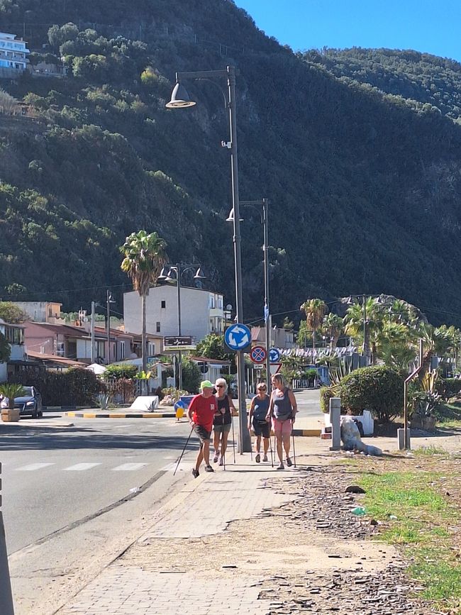 Amigos del deporte Nordic-Walking