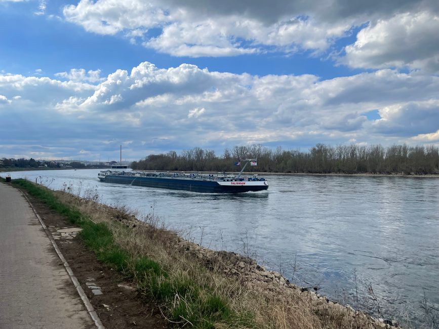 St. Goar bis Bonn
