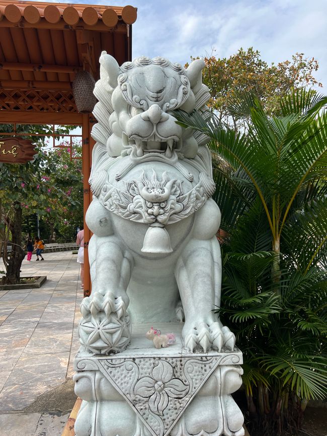Tag 5 - Hoi An: Ein Tag mit Affen, Einhörnern und vielen Überraschungen