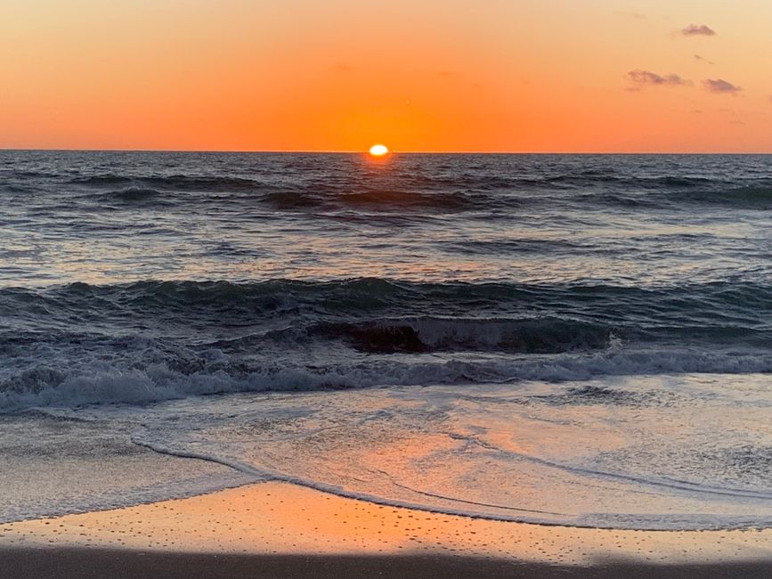 19_WHANGANUI AND SARJEANT GALLERY