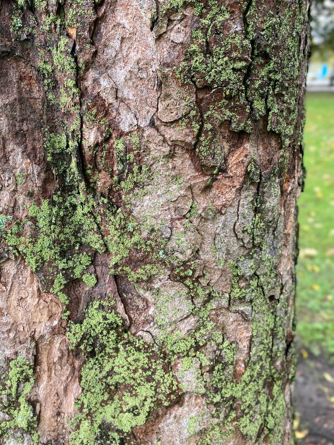 Lets do some Sightseeing