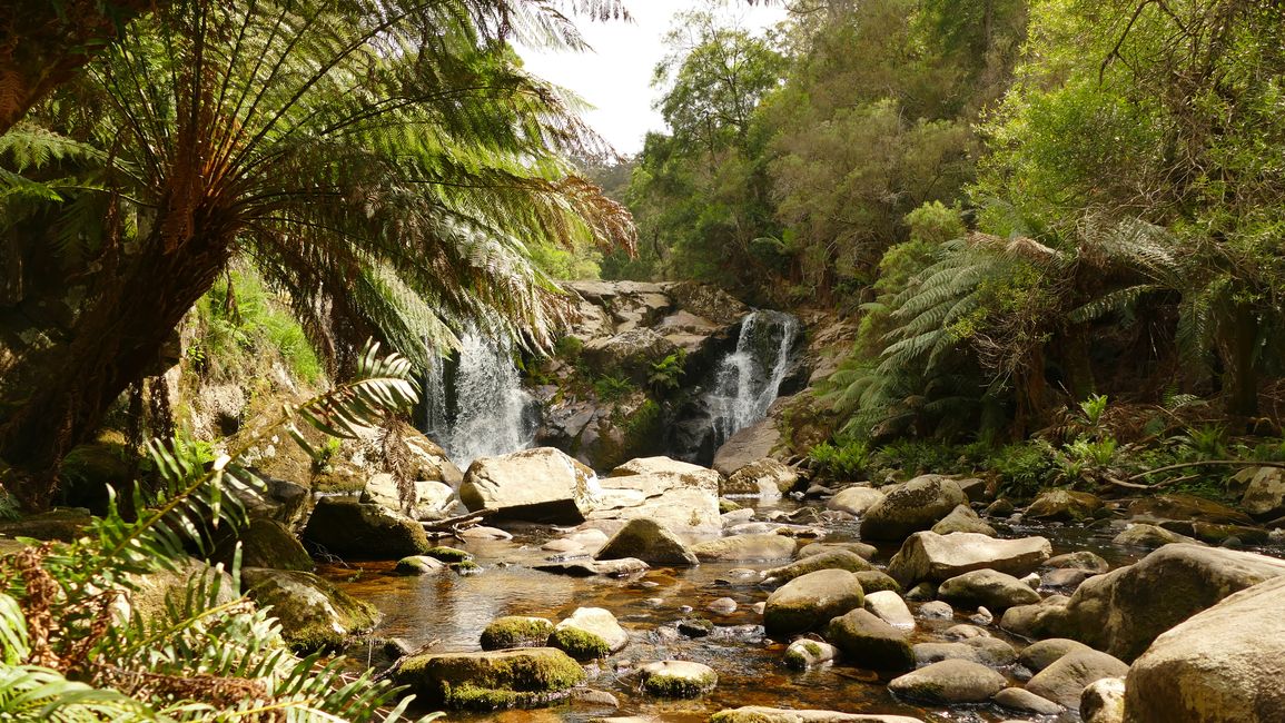 - Singapur & Tasmania 2019 -