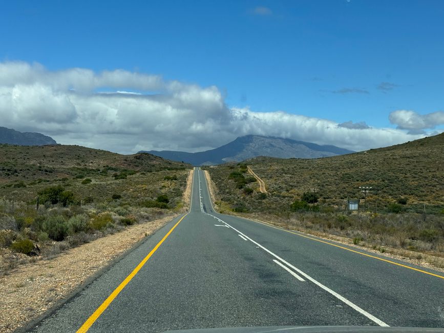 Weihnachtstage in Stellenbosch