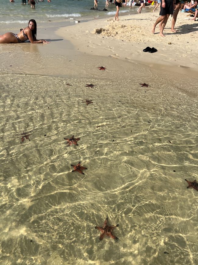 Tag 16 - Phu Quoc: Tierische Higloghts und glitzerndes Einhorn