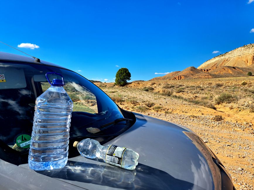 Shower-Bottles