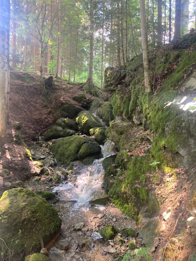 Das Wandern ist des Fischers  Lust-Ellegghöhe