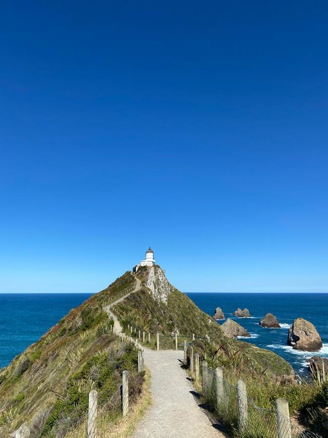 Nugget Point Lighthouse (Catlins)