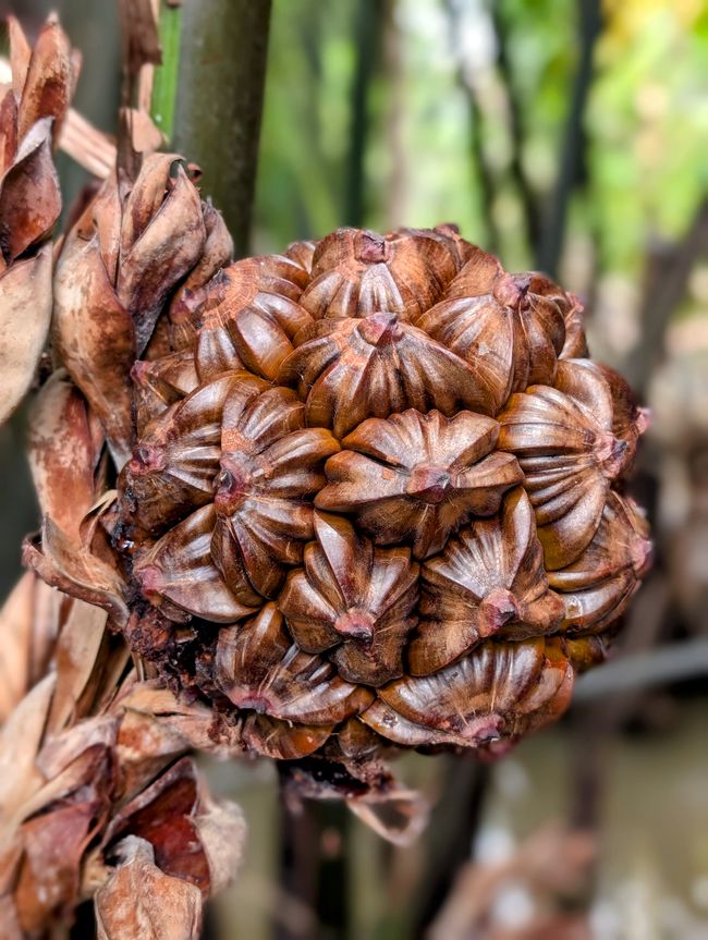 Mekong-Delta-Fragmente