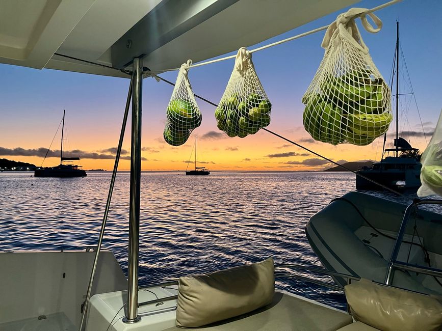 Obst mit Aussicht // fruits with view