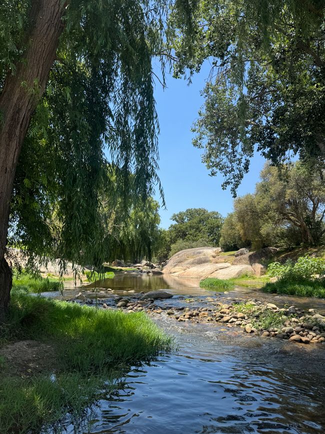Weihnachtstage in Stellenbosch