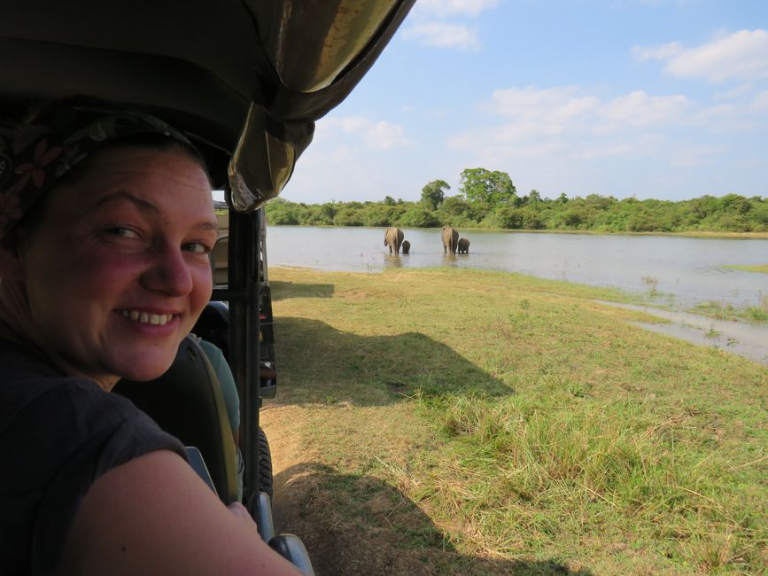 Udawalawa - Safari avec des éléphants