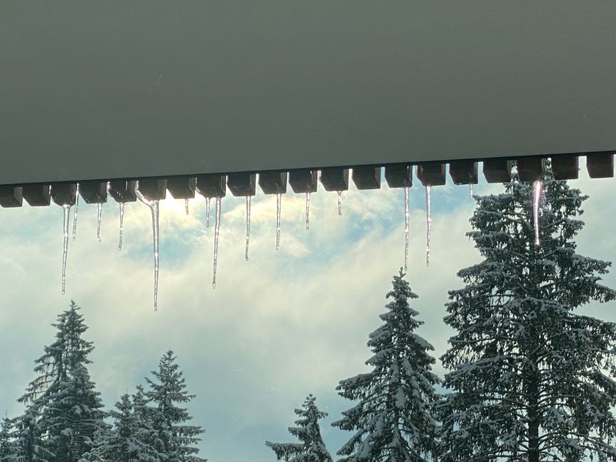 Die Eiszapfen beginnen in der Sonne zu schmelzen