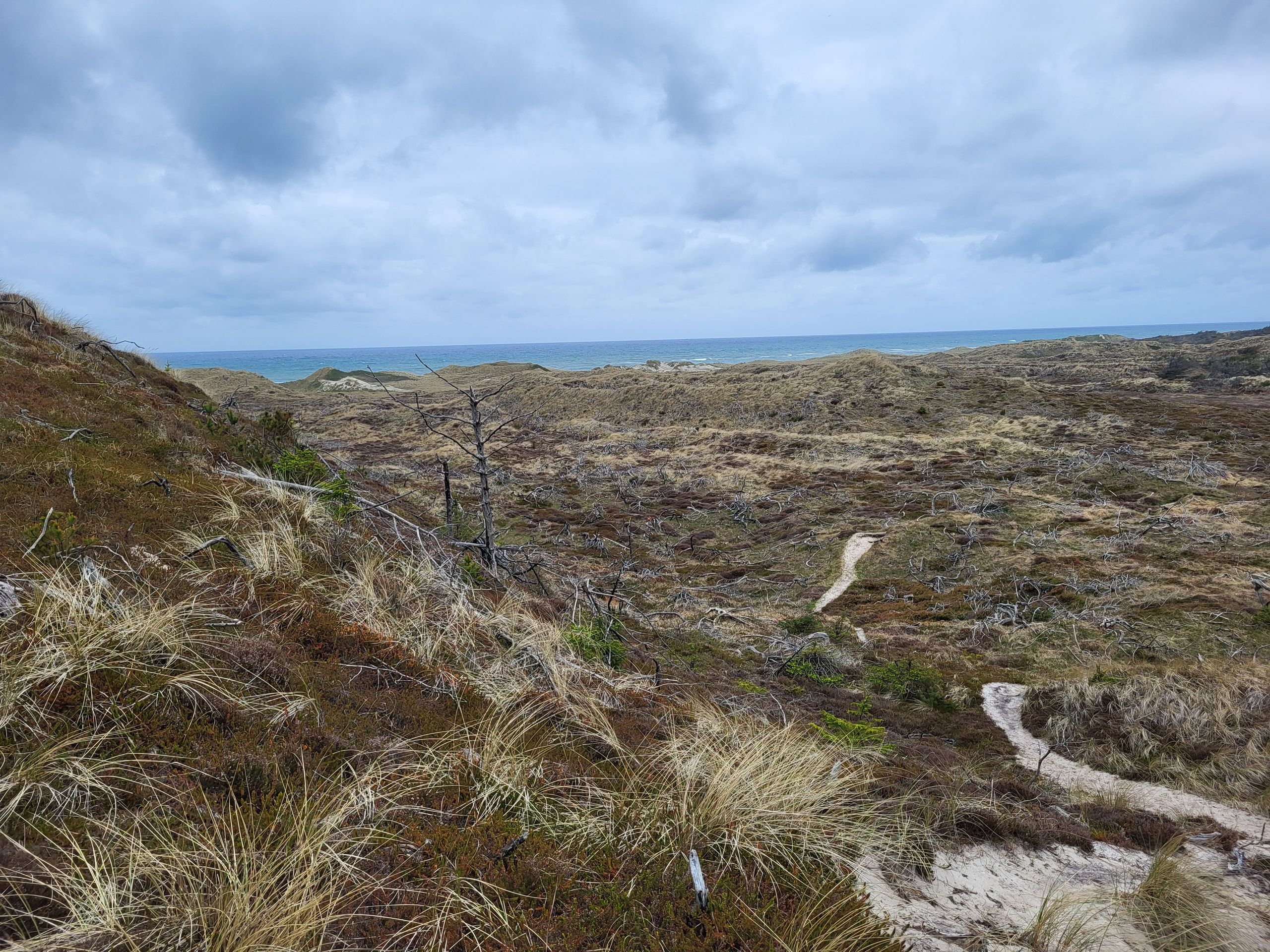 Thy National Park