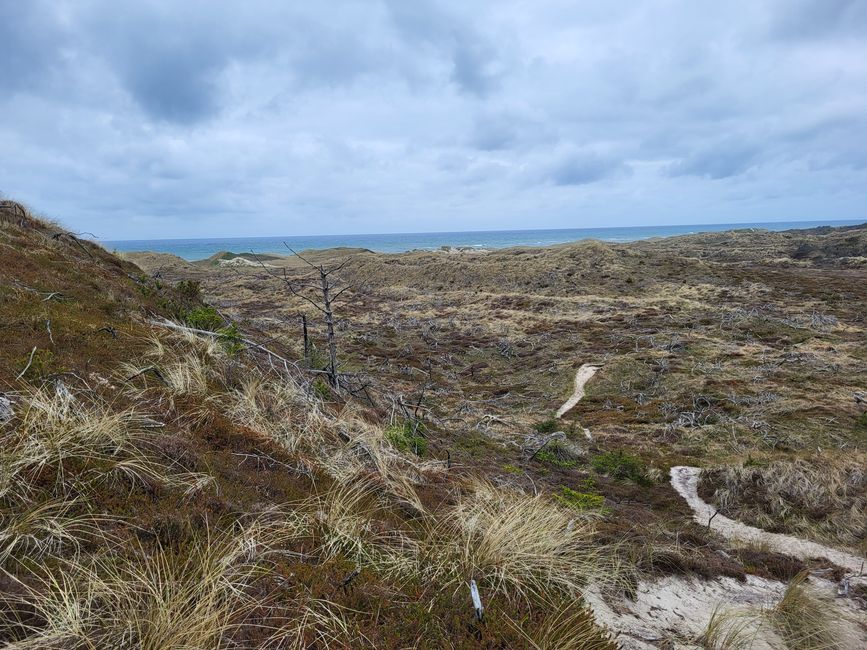 Thy National Park