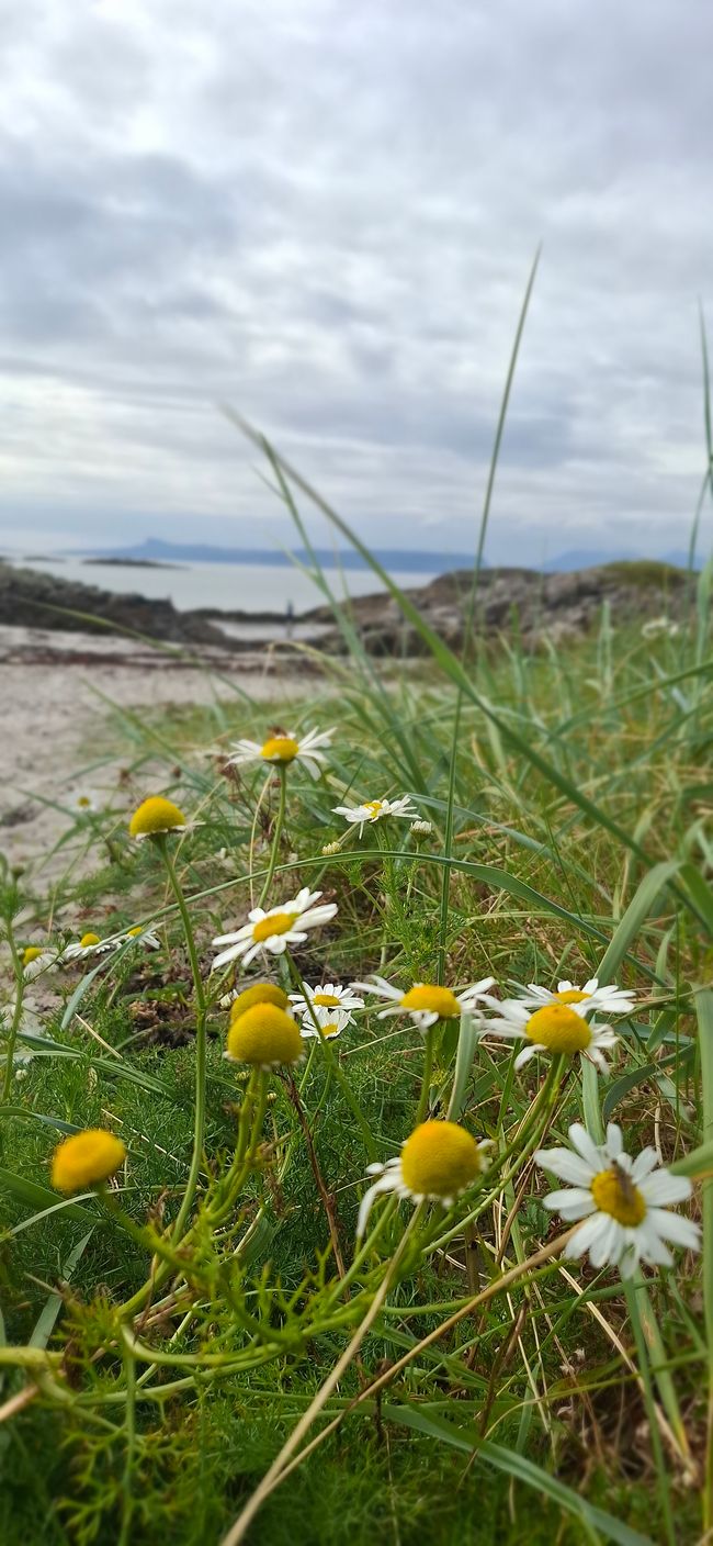 Tag 9 - Fort William <-> Mallaig