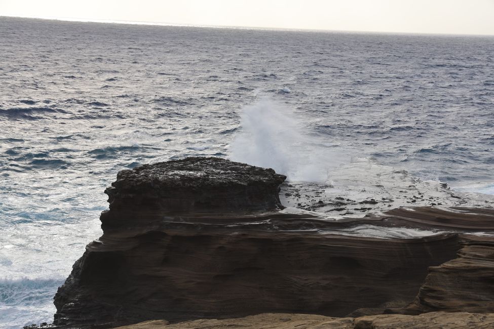 Addio alle Hawaii