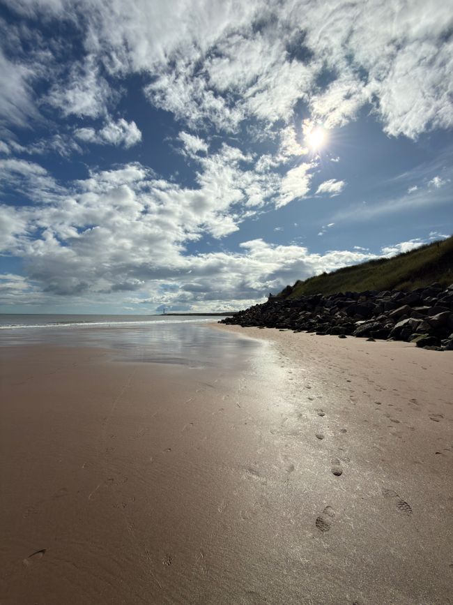 Tage in Montrose..