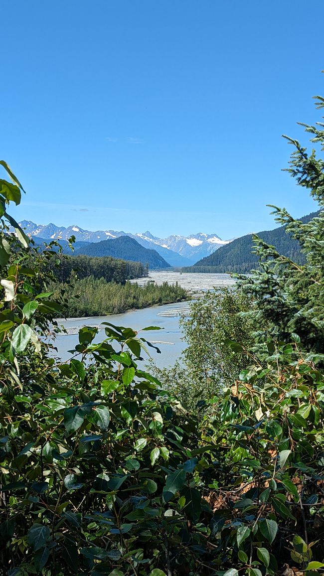 Tag 27: Bärenshow & fantastische Bergwelten - zurück nach Yukon/Kanada