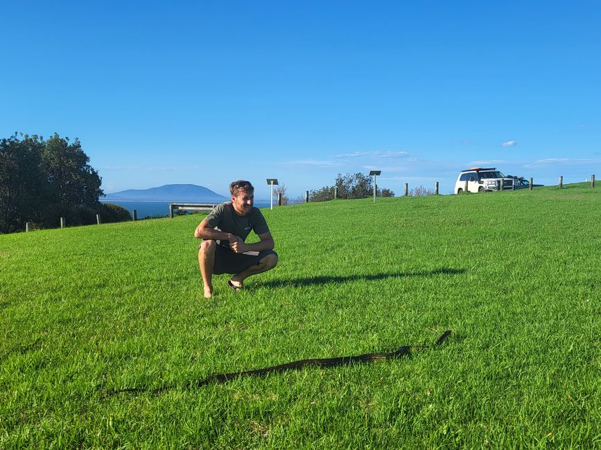 Reunited with Australia's (more) exciting wildlife