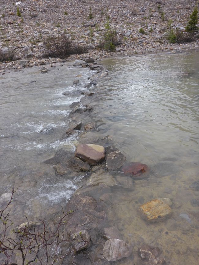 Beaucoup d'eau dans la rivière
