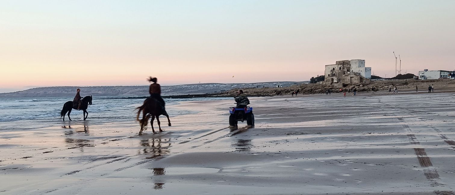 Sidi KaoukiSidi Kaouki