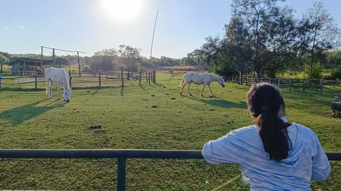 Paraguay_Caacupe_Aventura_Ranch (Juli 2025)