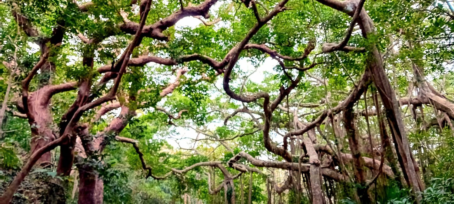 Parque Nacional Kenting