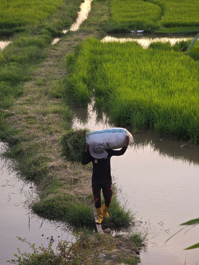 Langkawi - Reif für die Insel!