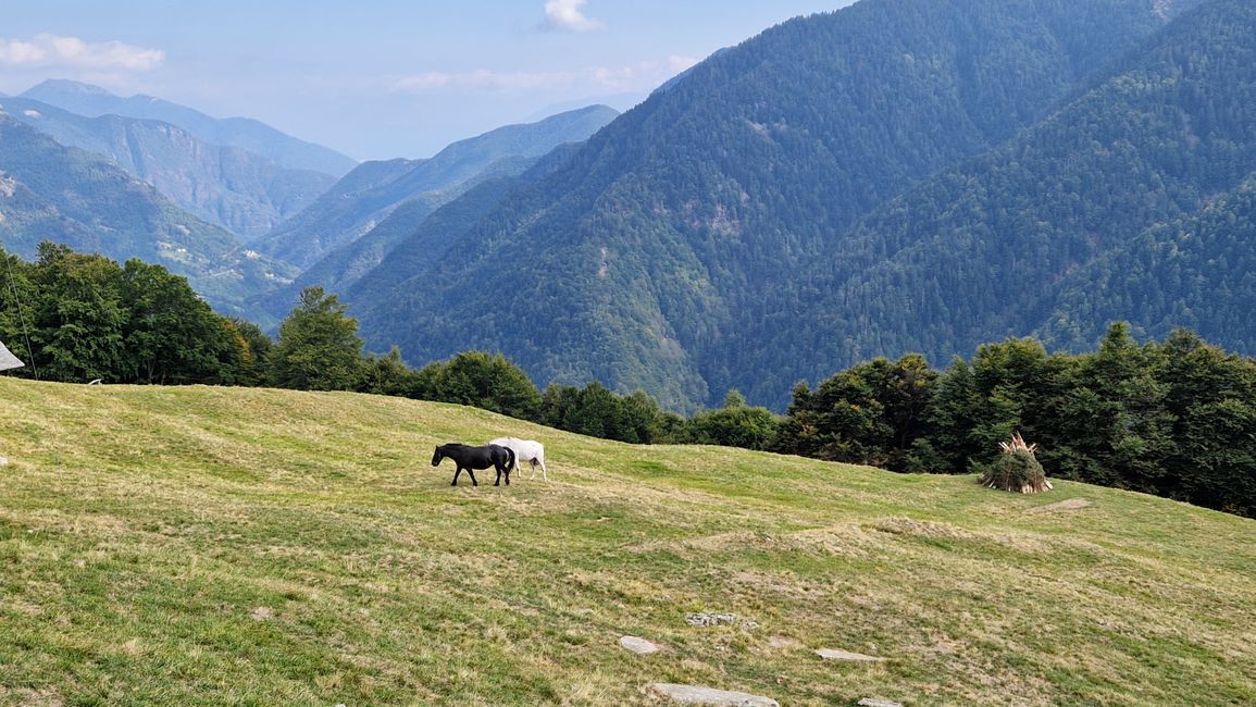 Blick ins Valle Onsernone
