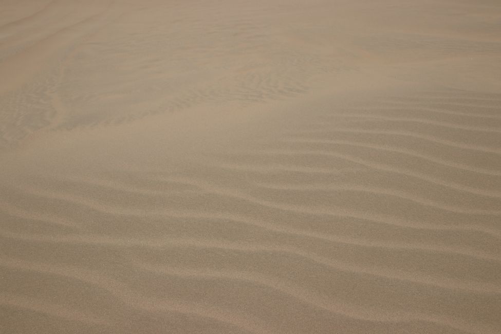 Etiqueta 23: En camino en Doha y el desierto