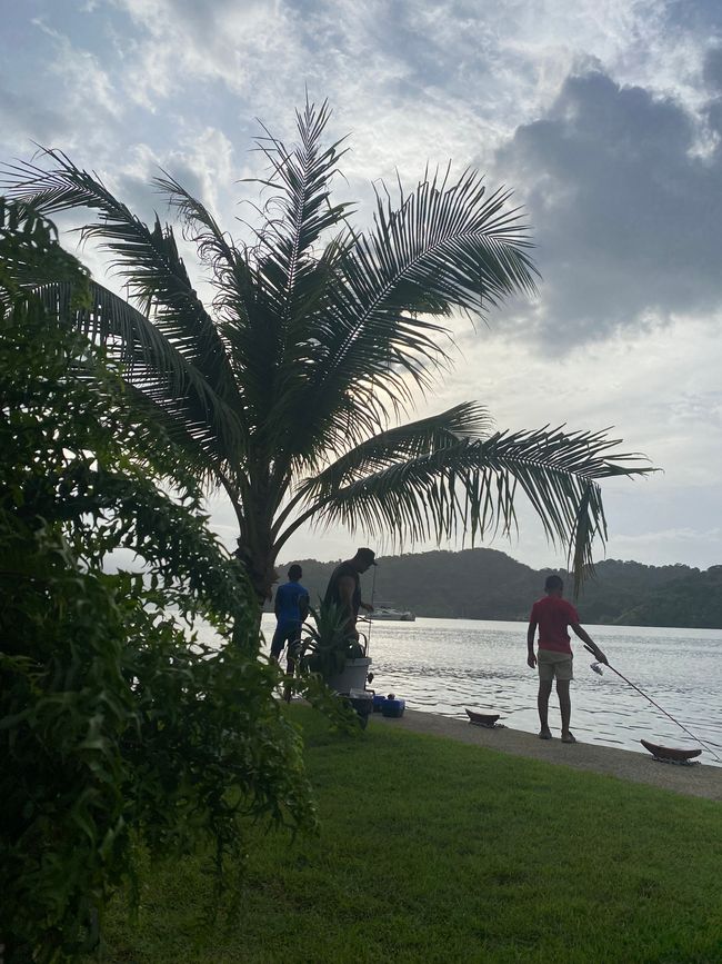 Panama 🇵🇦 🌴