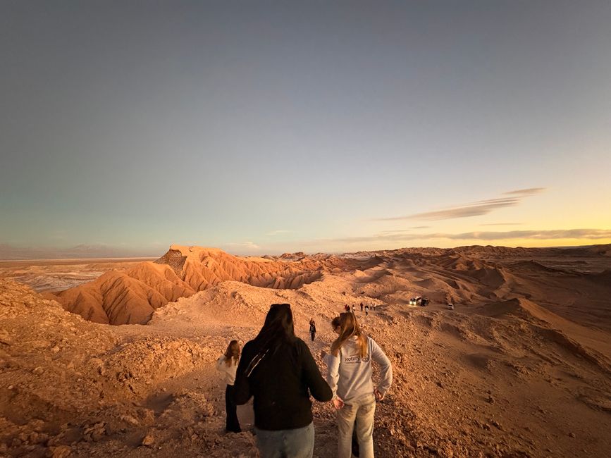 Désert d'Atacama 🦙🦩🌵