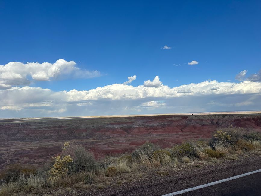 Arizona/ New Mexico/ Petrified Forest/White Sands