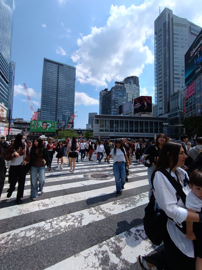 Tokyo auf eigene Faust
