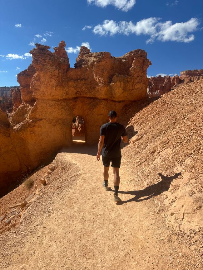 Canyon Land: Zion and Bryce Canyon❤️