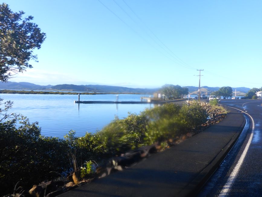 Whangapoua Harbour
