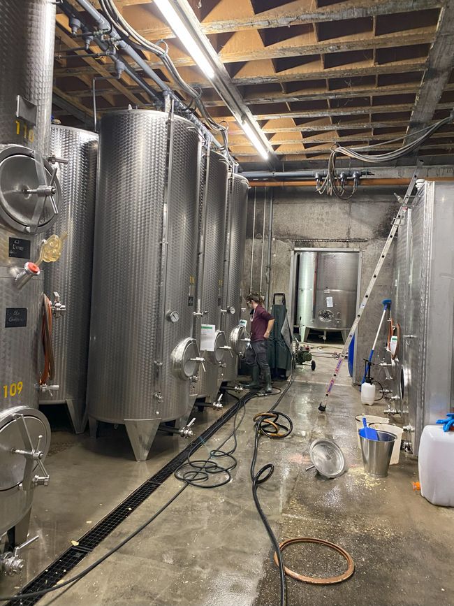 In cantina del vignaiolo