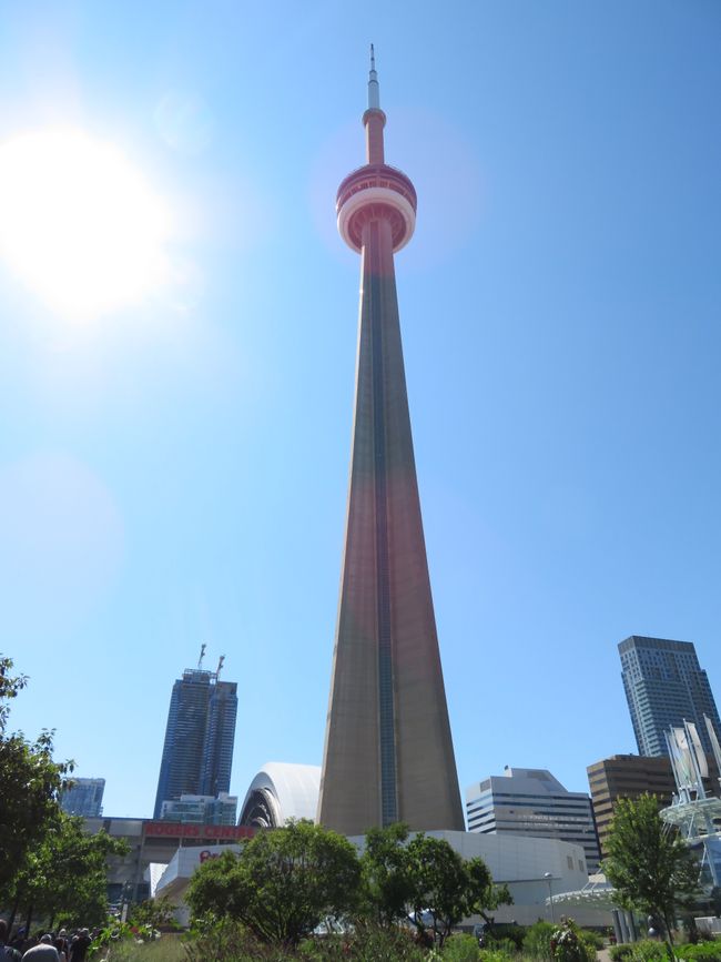 Aficionados al béisbol de los Blue Jays